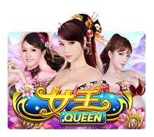 Queen - MG138