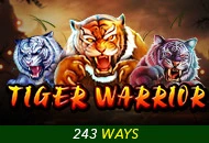 Tiger Warrior - MG138