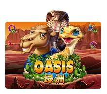 Oasis - MG138