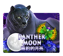 Panther Moon - MG138